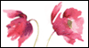Special Daughter-in-law -- Daughter Mother's Day eCard from Yahoo! Greetings