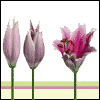 All Because of You -- Love Easter Greeting Cards project from Yahoo! Greetings
