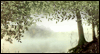 Tranquil Days
