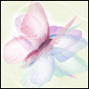 The Wonder of You --  project from Yahoo! Greetings