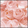 Just the Beginning -- Bridal Shower Greeting Cards project from Yahoo! Greetings