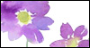 Comforting Thoughts -- Friendship Inspire and Encourage eCard from Yahoo! Greetings