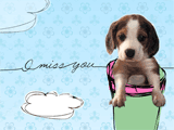 I Miss You 