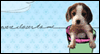 I Miss You -- Pets Miss You eCard from Yahoo! Greetings