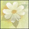 May God Bless You -- General Congratulations Greeting Cards project from Yahoo! Greetings