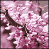 A Birthday Blessing for You -- Religious Birthday Greeting Cards project from Yahoo! Greetings