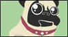 Pugs & Kisses for You -- Kisses Love and Dating eCard from Yahoo! Greetings