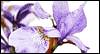 Thankful for Mother-in-law -- Mother-in-law's Day eCard from Yahoo! Greetings
