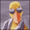 You Quack Me Up -- Funny Friendship Greeting Cards project from Yahoo! Greetings