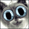 Youre Purr-fect -- Twisted Whiskers Birthday Greeting Cards project from Yahoo! Greetings