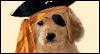 Pirate Puppy --  eCard from Yahoo! Greetings