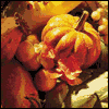 From All of Us to You -- Everyday Thanksgiving Greeting Cards project from Yahoo! Greetings