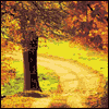 Thankful for Parents Like You -- Thanksgiving Greeting Cards for Parents project from Yahoo! Greetings