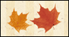 Joyful Wishes for You -- Thanksgiving eCard from Yahoo! Greetings