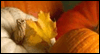 Your Beautiful Reminder -- Canadian Thanksgiving eCard from Yahoo! Greetings