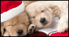 A Friend Like You -- Friends Christmas eCard from Yahoo! Greetings