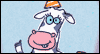 Have A Cow On Your Birthday