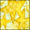 A Time to Celebrate -- New Years Greeting Cards for Anyone project from Yahoo! Greetings
