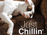 Just Chillin' 