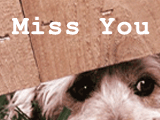No Fun Without You 