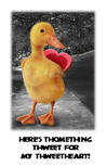 Thomething Thweet <br> for You -- Printable Funny Valentines Day Card from Blue Mountain