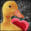 Thomething Thweet for You -- Thimon Thez Valentines Day Greeting Cards project from Yahoo! Greetings