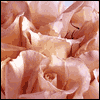 Youre Always Thought Of -- Valentines Day Greeting Cards project from Yahoo! Greetings