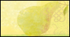 Abundance --  eCard from Yahoo! Greetings