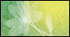 Dreams -- Jennifer Lewis-Hall Friendship eCard from Yahoo! Greetings