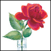 To My Wonderful Husband -- Anniversary Greeting Cards project from Yahoo! Greetings
