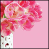 Very Special Grandma -- Grandmother Birthday Greeting Cards project from Yahoo! Greetings