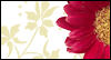 5/10 Official Thank You Day --  eCard from Yahoo! Greetings