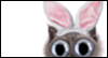 Ears to You! -- Twisted Whiskers Easter eCard from Yahoo! Greetings