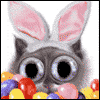 Did You Say  -- Everyday Easter Greeting Cards project from Yahoo! Greetings