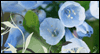 Easter's Here -- Singing Easter eCard from Yahoo! Greetings