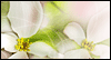 Easter Blessings --  eCard from Yahoo! Greetings
