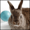 To a Deserving Son -- Kids Easter Greeting Cards project from Yahoo! Greetings