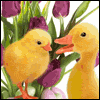 Extra Love for Grandparents -- Grandparents Easter Card project from Yahoo! Greetings