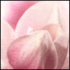 Your Precious Love -- Love Easter Greeting Cards project from Yahoo! Greetings