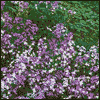 Mother's Love Shines -- Parents Valentines Day Greeting Cards project from Yahoo! Greetings