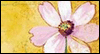 Mother, Sister, Friend -- Sister Mother's Day eCard from Yahoo! Greetings