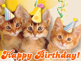 Singing Birthday Cats 