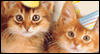 Singing Birthday Cats -- Pets Birthday eCard from Yahoo! Greetings