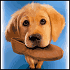 A Slippers-on Day for You -- Fathers Day Greeting Cards to Dad project from Yahoo! Greetings