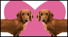 You Look Alike -- To a Couple Anniversary eCard from Yahoo! Greetings