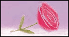 God Answered My Prayers With You -- Religious Thank You eCard from Yahoo! Greetings