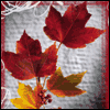 Labor Day Wish -- Labor Day Greeting Cards project from Yahoo! Greetings