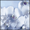 Youre in Our Thoughts -- Loss of Loved Ones Sympathy Greeting Cards project from Yahoo! Greetings