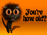 Scaredy Cat 