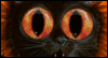 Scaredy Cat -- Funny Halloween eCard from Yahoo! Greetings